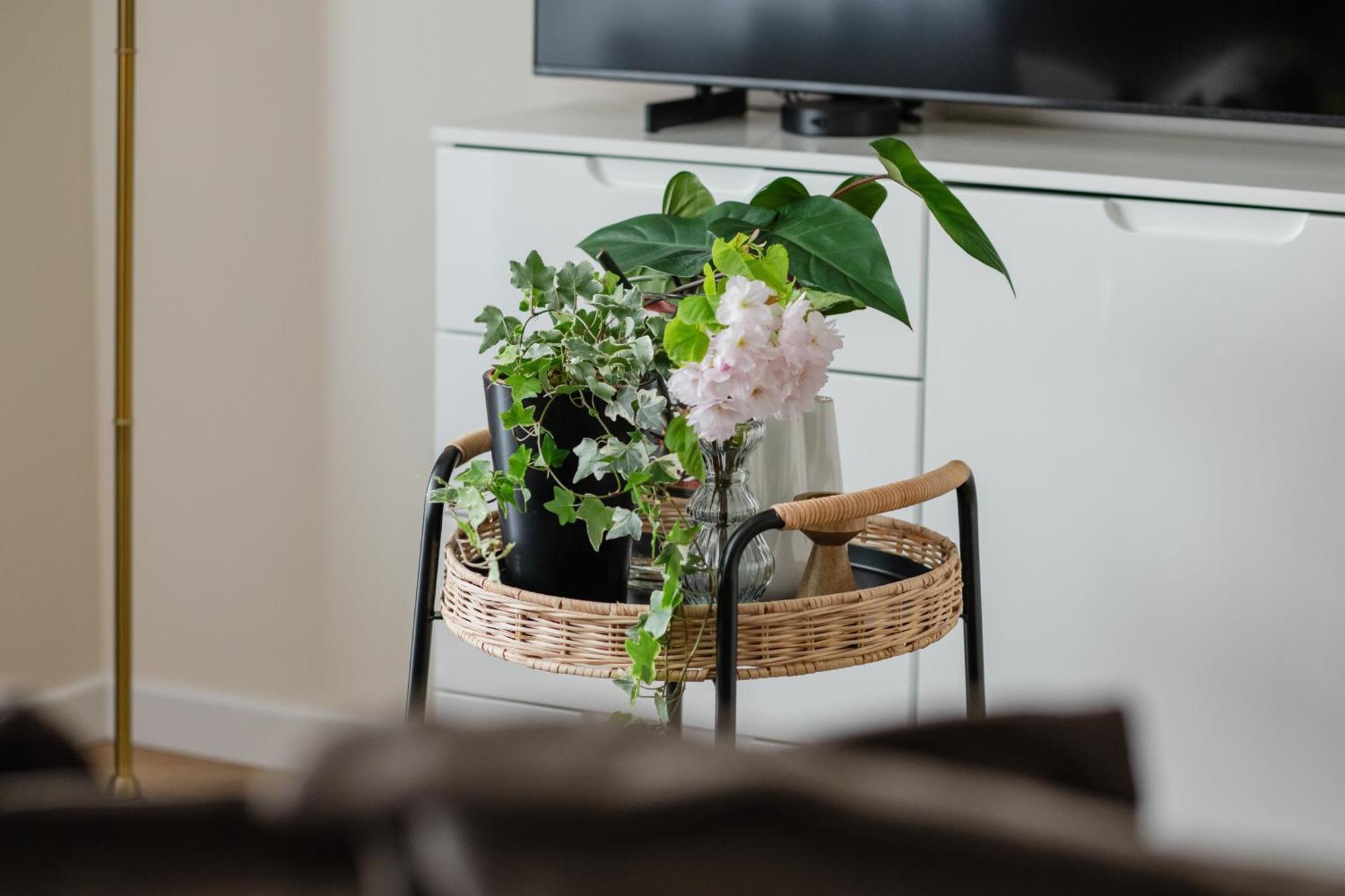 Ts Gold New Town Apartment & Free Private Parking Щецин Экстерьер фото